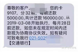 谷城为什么选择专业追讨公司来处理您的债务纠纷？